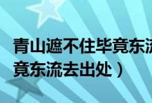 青山遮不住畢竟東流去的哲理（青山遮不住畢竟東流去出處）