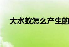 大水蟻怎么產(chǎn)生的（大水蟻怎么產(chǎn)生的）