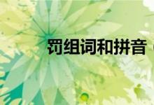罰組詞和拼音（漢字罰怎么組詞）