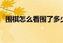 圍棋怎么看圍了多少地（圍棋怎么看目數(shù)）