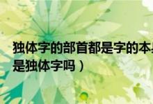 獨(dú)體字的部首都是字的本身,字的全部嗎?（面字的部首 面字是獨(dú)體字嗎）