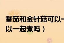 番茄和金針菇可以一起吃嗎（番茄和金針菇可以一起煮嗎）