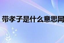 帶孝子是什么意思網(wǎng)絡(luò)用語(yǔ)（帶孝子啥意思）