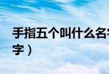 手指五個(gè)叫什么名字（學(xué)5個(gè)手指都叫什么名字）