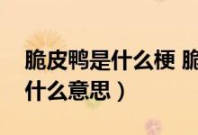 脆皮鴨是什么梗 脆皮鴨文學(xué)（脆皮鴨文學(xué)是什么意思）