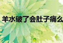 羊水破了會(huì)肚子痛么（羊水破了會(huì)肚子疼嗎）