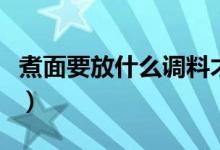 煮面要放什么調(diào)料才好吃（煮面要放什么調(diào)料）