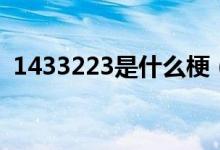 1433223是什么梗（1433223是什么意思）