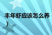 豐年蝦應(yīng)該怎么養(yǎng)（豐年蝦養(yǎng)殖都有哪些要求）