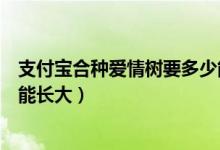 支付寶合種愛情樹要多少能量（支付寶合種愛情樹多少能量能長大）
