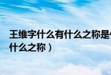 王維字什么有什么之稱是什么派的代表人物（王維字什么有什么之稱）