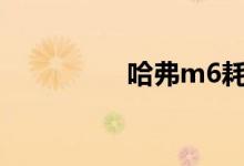 哈弗m6耗油幾毛一公里