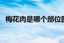 梅花肉是哪個(gè)部位圖（梅花肉是哪個(gè)部位）