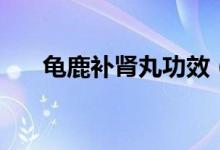 龜鹿補(bǔ)腎丸功效（龜鹿補(bǔ)腎丸的作用）