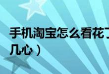 手機(jī)淘寶怎么看花了多少錢（手機(jī)淘寶怎么看幾心）