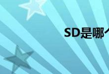 SD是哪個軍區(qū)的車牌