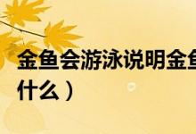 金魚會游泳說明金魚能怎么樣（金魚游泳是靠什么）