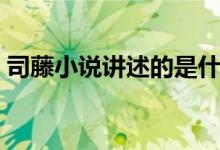 司藤小說(shuō)講述的是什么故事（司藤小說(shuō)介紹）