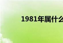 1981年屬什么（十二生肖簡介）