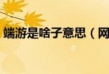 端游是啥子意思（網(wǎng)上說的端游是什么意思）