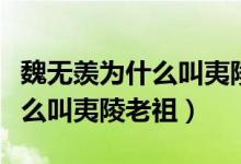 魏無羨為什么叫夷陵老祖（陳情令魏無羨為什么叫夷陵老祖）