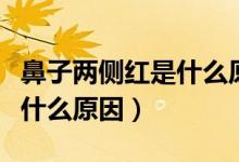 鼻子兩側(cè)紅是什么原因引起的（鼻子兩側(cè)紅是什么原因）