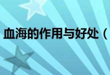 血海的作用與好處（關(guān)于血海穴的好處介紹）