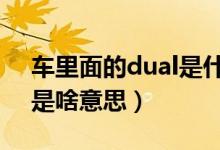 車里面的dual是什么意思（車上這個DUAL是啥意思）