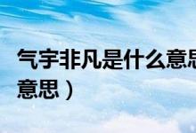 氣宇非凡是什么意思（氣勢非凡中的非是什么意思）