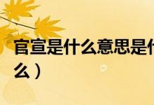 官宣是什么意思是什么（官宣是什么意思是什么）