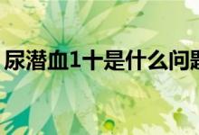 尿潛血1十是什么問題（尿潛血1十是什么?。?class=