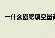 一什么翅膀填空量詞填三個（一什么翅膀）