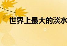 世界上最大的淡水湖（該湖有什么特點）