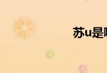 蘇u是哪里的車牌