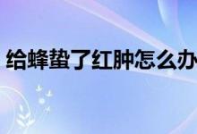 給蜂蟄了紅腫怎么辦（給蜂蟄了腫了怎么辦）