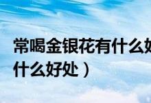 常喝金銀花有什么好處和壞處（常喝金銀花有什么好處）