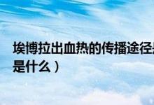 埃博拉出血熱的傳播途徑是什么（埃博拉出血熱的傳播途徑是什么）