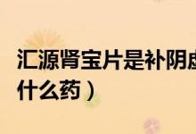 匯源腎寶片是補陰虛還是陽虛（匯源腎寶片是什么藥）