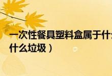 一次性餐具塑料盒屬于什么垃圾（一次性發(fā)泡塑料餐盒屬于什么垃圾）