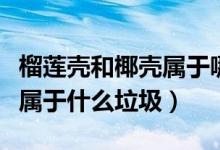 榴蓮殼和椰殼屬于哪類垃圾（榴蓮殼和椰子殼屬于什么垃圾）