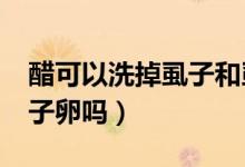 醋可以洗掉虱子和虱子卵嗎?（用醋能洗掉虱子卵嗎）