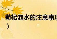 茍杞泡水的注意事項（喝茍杞泡水要注意什么）