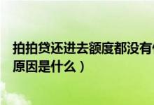 拍拍貸還進(jìn)去額度都沒(méi)有什么原因（拍拍貸有額度借不出來(lái)原因是什么）