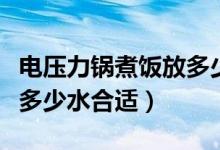 電壓力鍋煮飯放多少水合適（電壓力鍋煮飯放多少水合適）