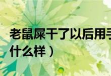 老鼠屎干了以后用手捏不開（老鼠屎捏開后是什么樣）