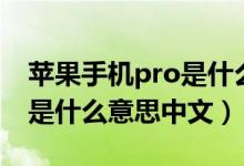 蘋果手機(jī)pro是什么意思中文（蘋果手機(jī)pro是什么意思中文）