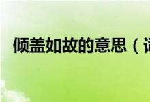 傾蓋如故的意思（詞語傾蓋如故什么意思）