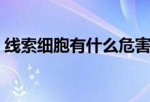 線索細(xì)胞有什么危害（萬一出現(xiàn)后果很嚴(yán)重）