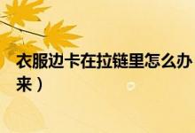 衣服邊卡在拉鏈里怎么辦（衣服卡在拉鏈里面怎樣才能弄出來）