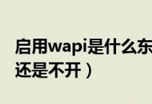 啟用wapi是什么東西（wapi是什么東西要開還是不開）